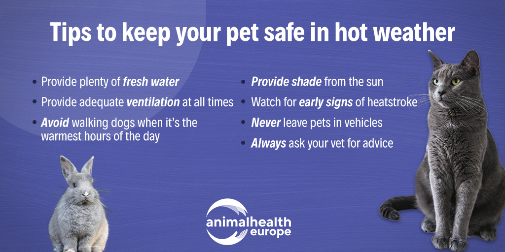 Hot Weather Tips